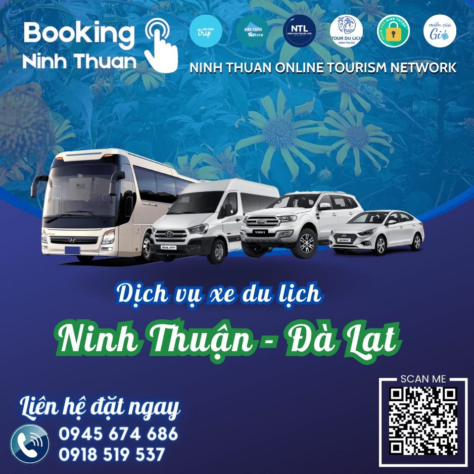 Đặt thuê xe Ninh Thuận đi Đà Lạt trọn gói giá tốt nhất tại Tourdulichninhthuan.vn