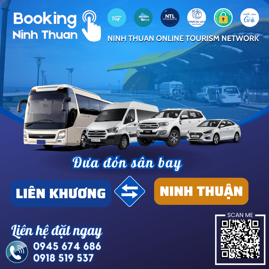 Đặt thuê xe sân bay Liên Khương về Ninh Thuận với giá tốt nhất thị trường