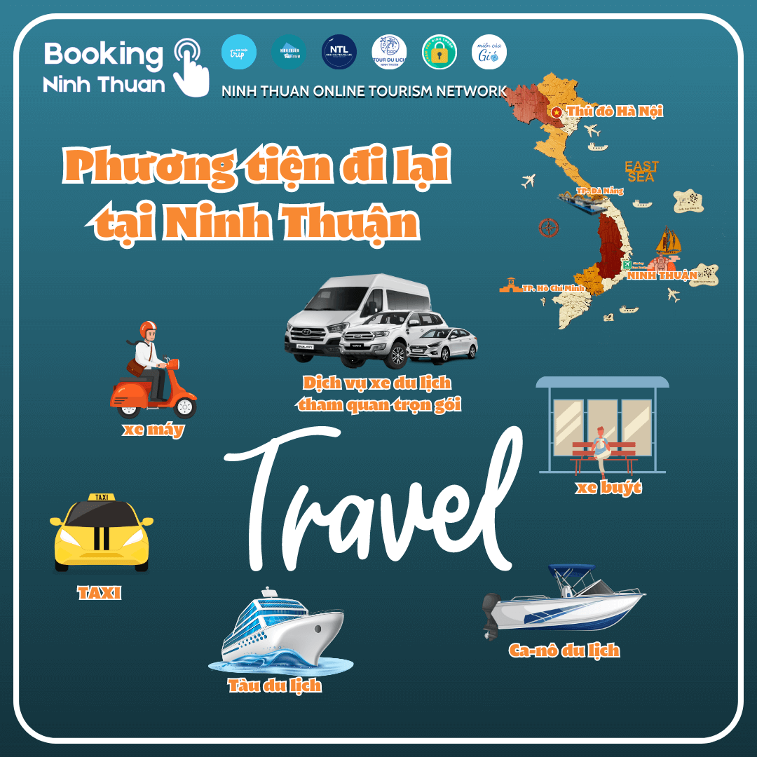 Tổng hợp các phương tiện đi lại ở Ninh Thuận được du khách sử dụng nhiều nhất. Ảnh: Booking Ninh Thuan