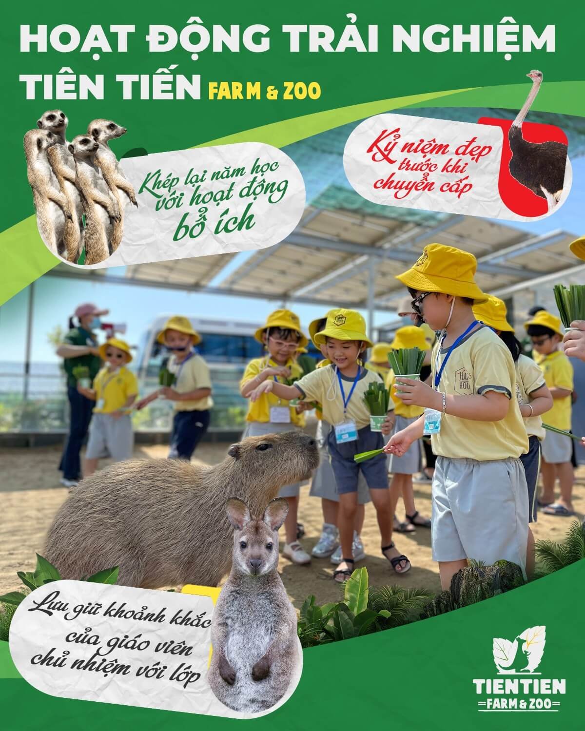 Ảnh: Vườn thú Zoodoo Phan Rang (Tiên Tiến Farm & Zoo)