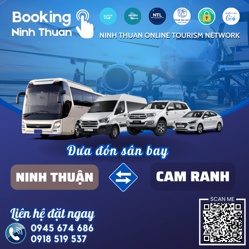 Trải nghiệm dịch vụ xe Ninh Thuận đi sân bay Cam Ranh chất lượng tốt nhất tại Booking Ninh Thuan. Ảnh Booking Ninh Thuan