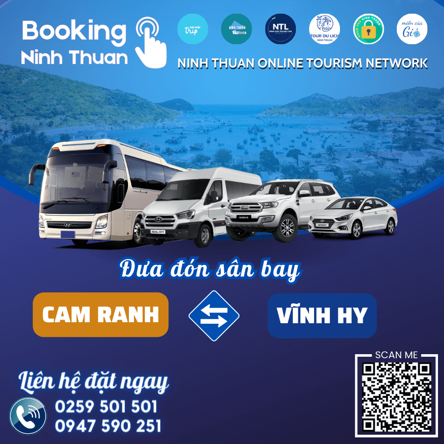 Dịch vụ xe đưa đón sân bay Cam Ranh của Booking Ninh Thuan mang đến nhiều tiện ích. Ảnh: Booking Ninh Thuan